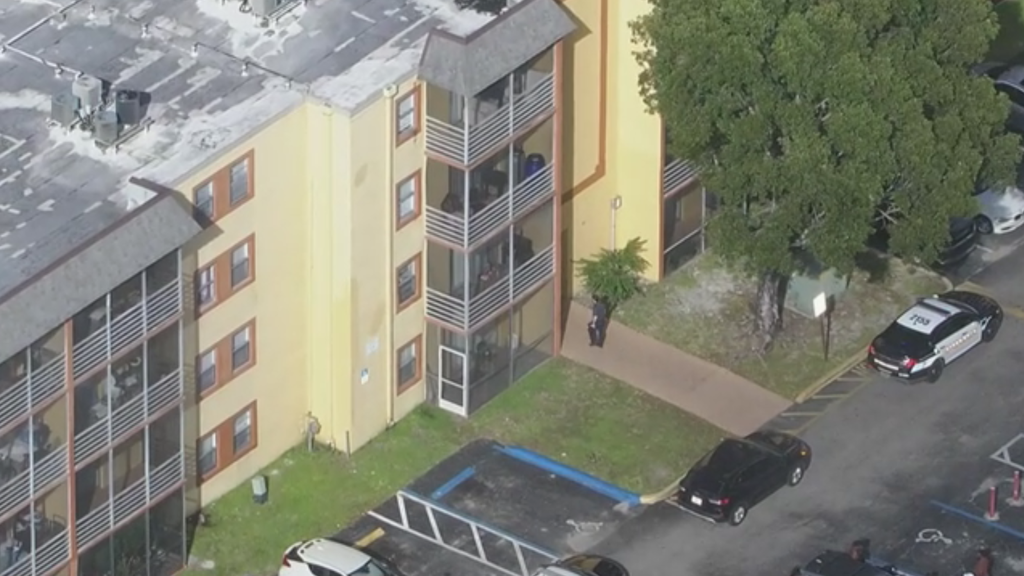 10-year-old girl hospitalized after 8-year-old brother throws knife and hits chest, Lauderhill police say — CBS Miami, Sausalito Health news