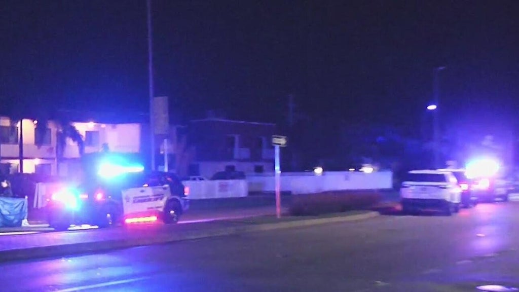 Woman accused of killing man in Dania Beach hit-and-run, BSO says — CBS Miami, Sausalito Community news