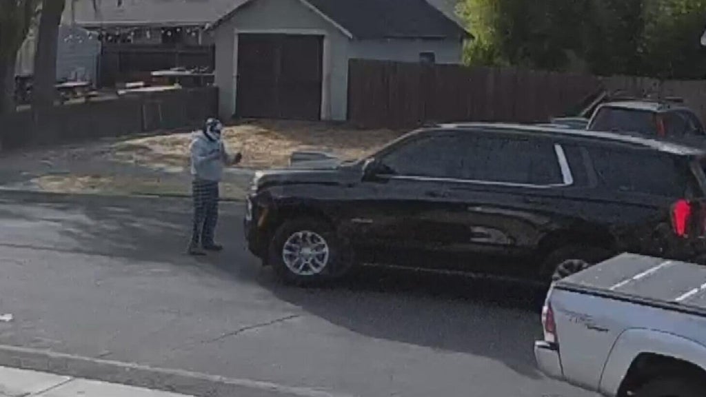 Woodland police dispute DHS account of ICE agent's collision with pedestrian — CBS Bay Area (KPIX), Sausalito Health news
