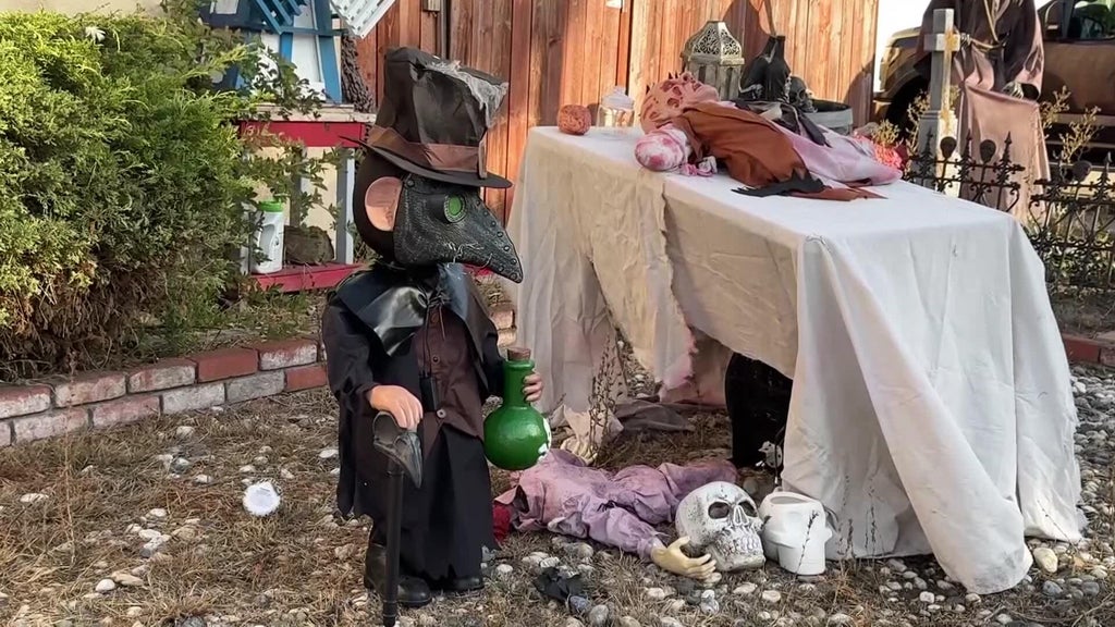 Halloween decorations worth roughly $700 stolen from San Leandro home — CBS Bay Area (KPIX), Sausalito Schools news