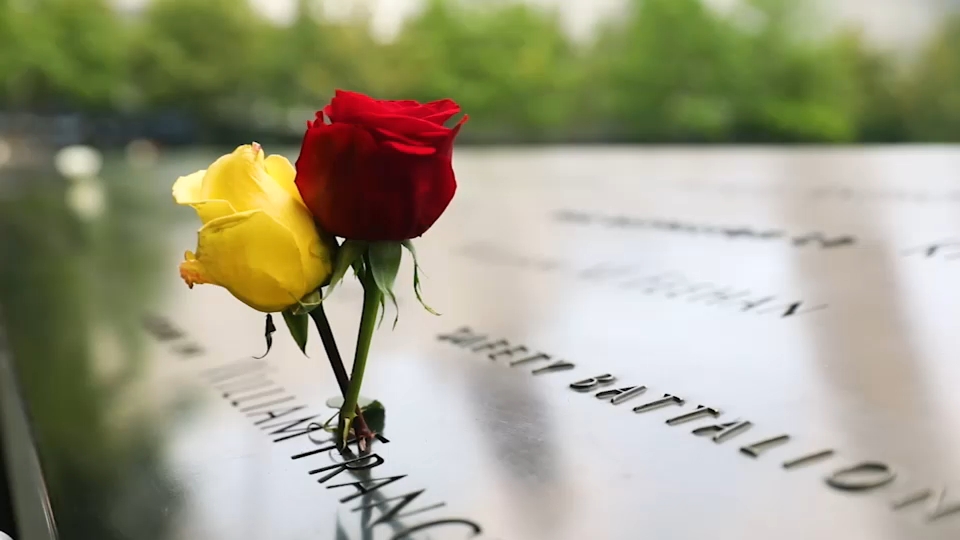 Second 9/11 victim identified with breakthrough genetic genealogy, NYC officials say
— ABC 7 Bay Area, Sausalito Community news