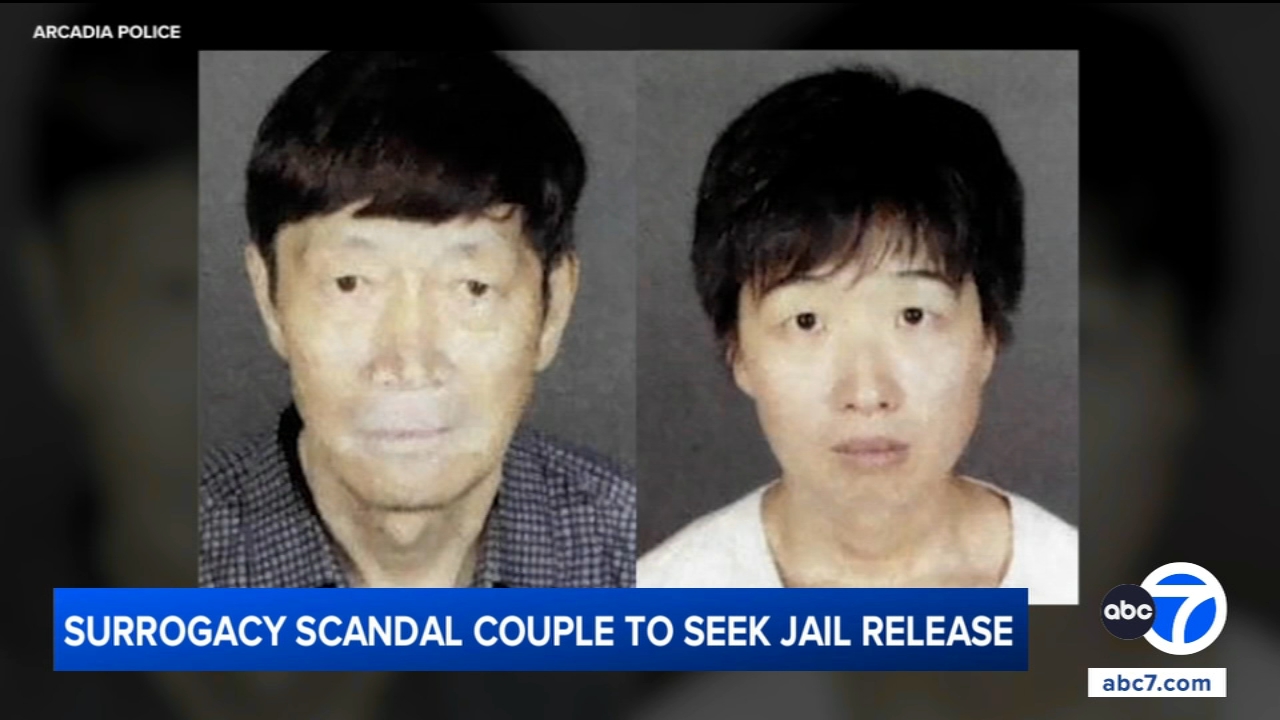 California couple accused in surrogacy scandal to seek release from jail, attorneys say
— ABC 7 Bay Area, Sausalito Community news