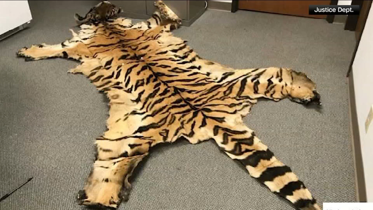California couple pleads guilty to trafficking wildlife
— Sausalito Community news