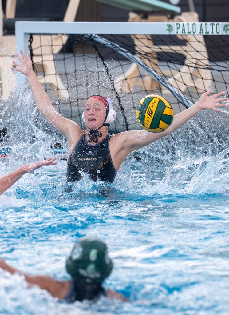 Wilcox Water Polo Caught in Vikings Rip Current — Silicon Valley Voice, Sausalito Sports news