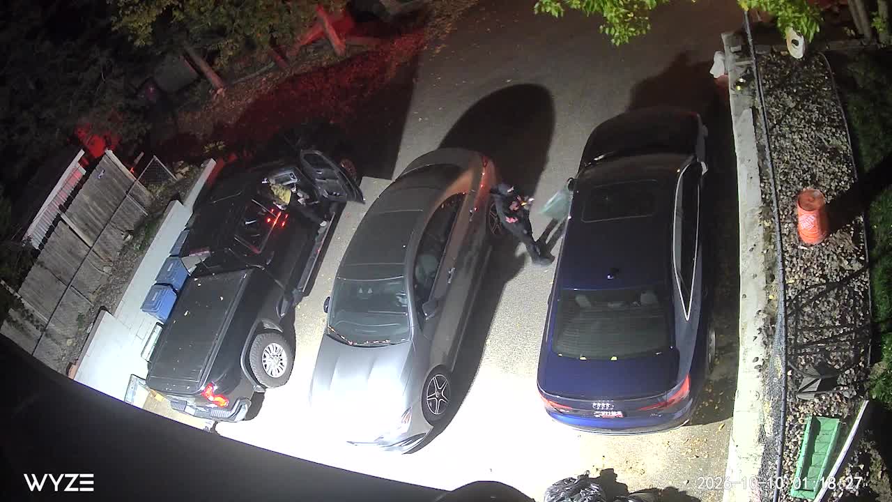 Juvenile window-smashing suspects caught on camera in south Minneapolis — KSTP 5, Sausalito Real Estate news