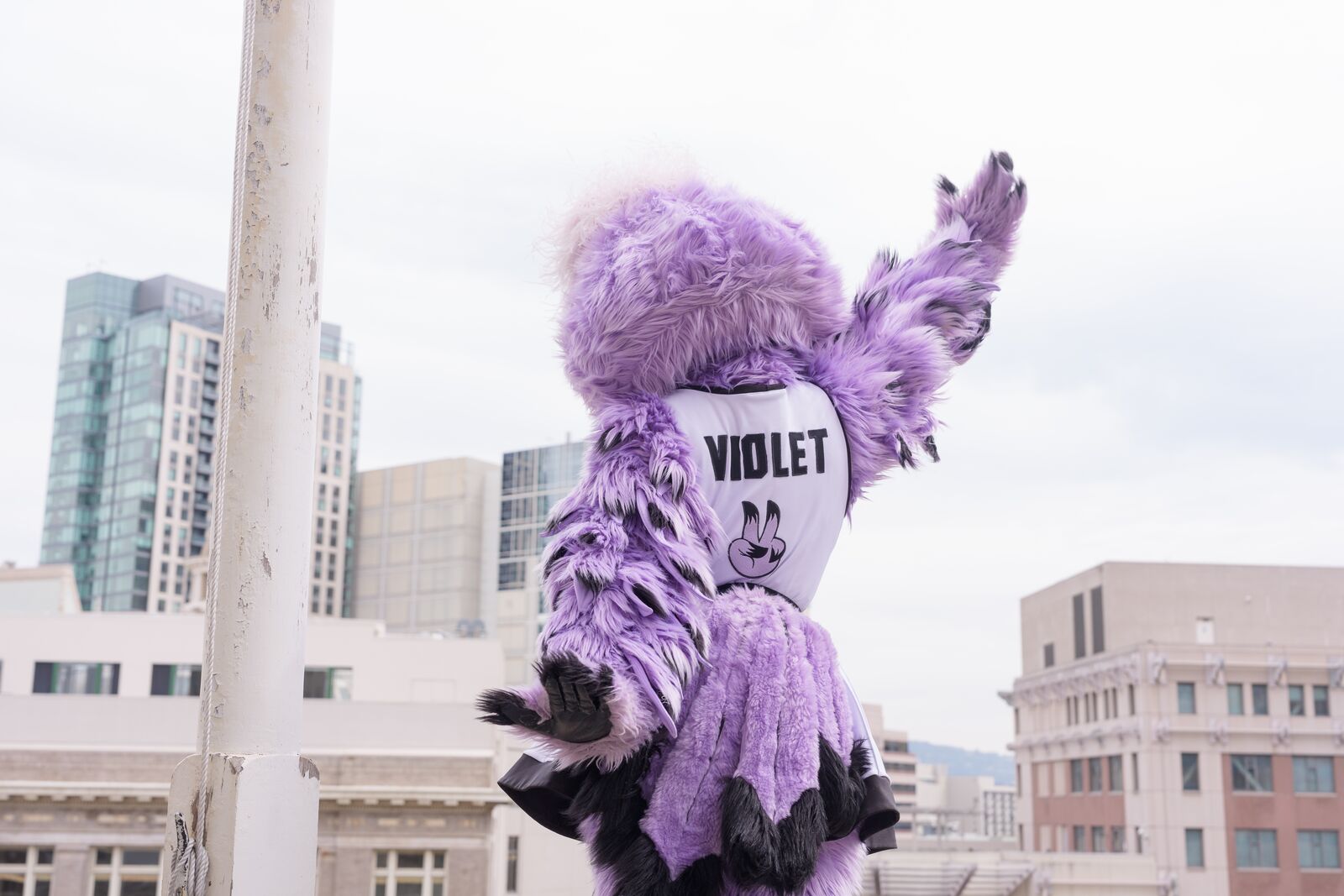 This week in Oakland: an outdoor Valkyries watch party, and singersongwriter Laura Anglade at Yoshi’s — The Oaklandside, Sausalito Arts news