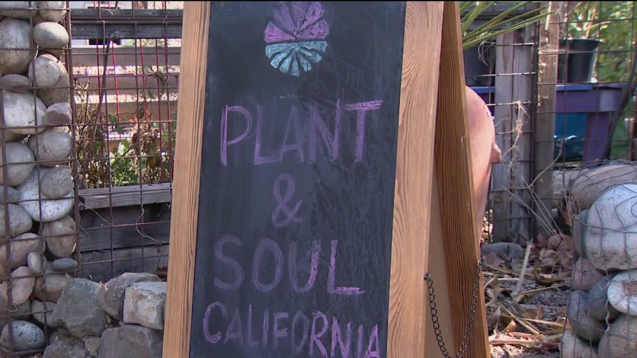 San Jose community garden faces possible eviction — KTVU FOX 2 Bay Area, Sausalito Schools news