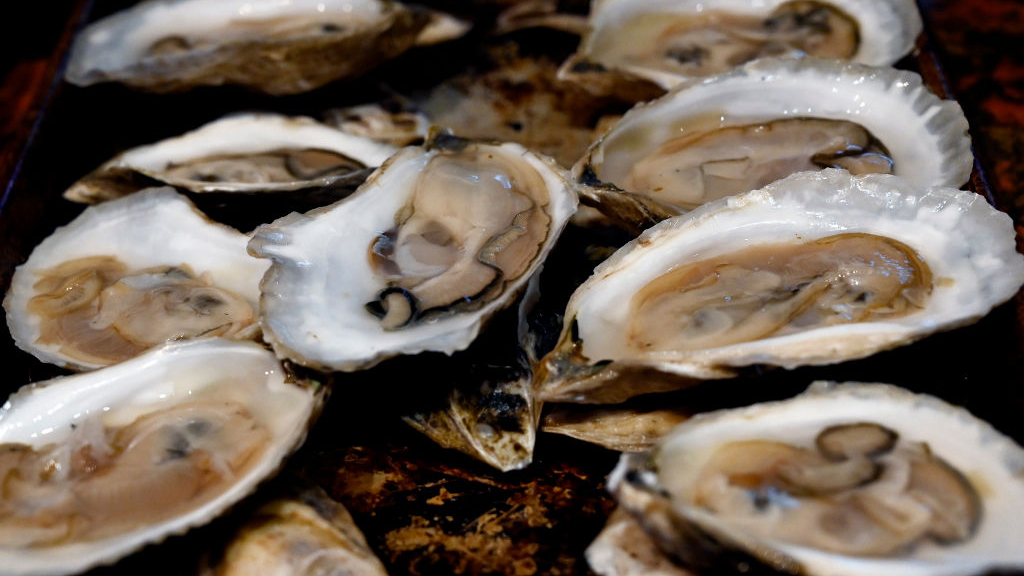 Sewage leak temporarily halts Tomales Bay oyster harvest — KTVU FOX 2 Bay Area, Sausalito Business news