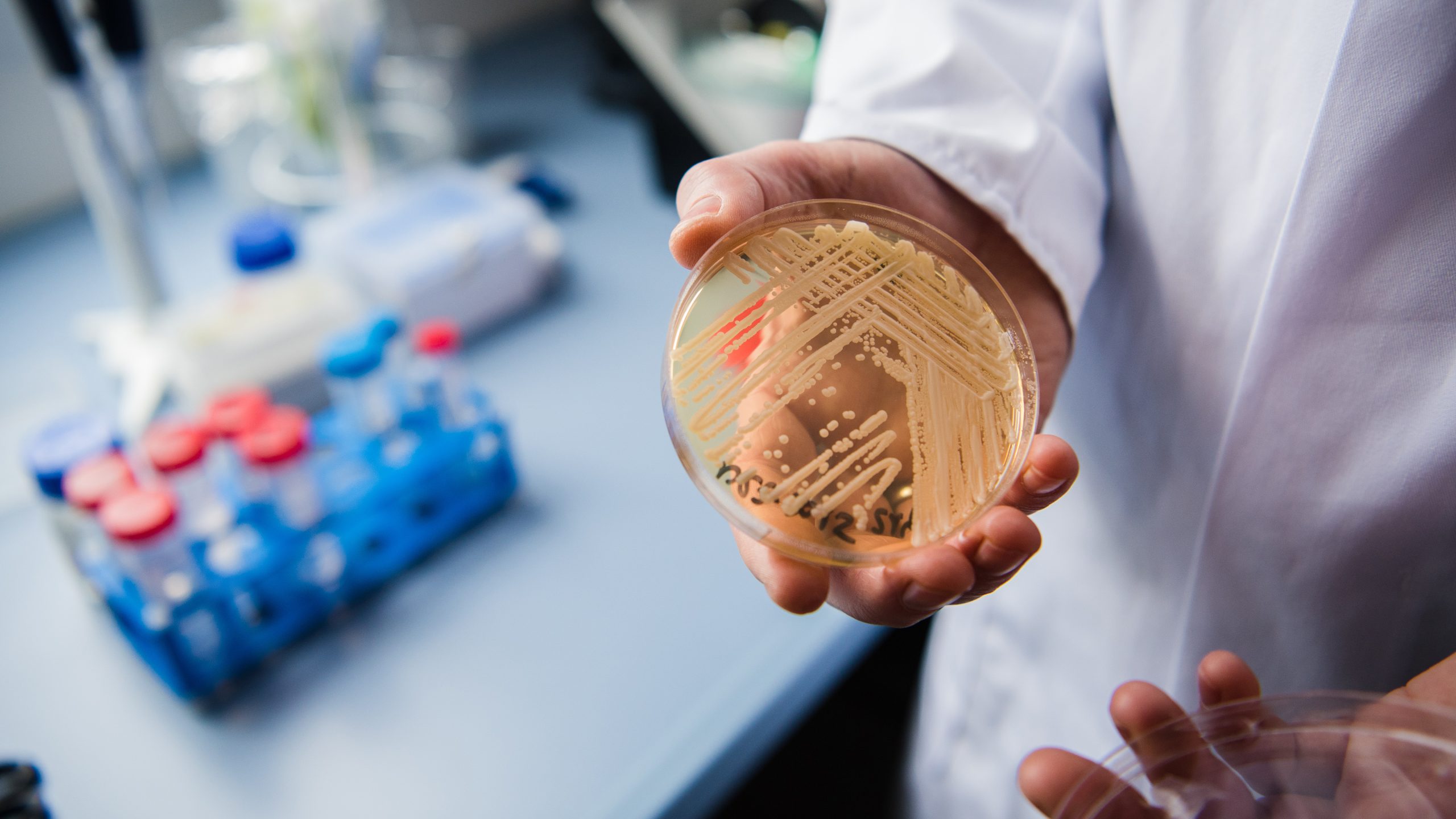New study reveals why dangerous fungus is so difficult to treat — KTVU FOX 2 Bay Area, Sausalito Community news