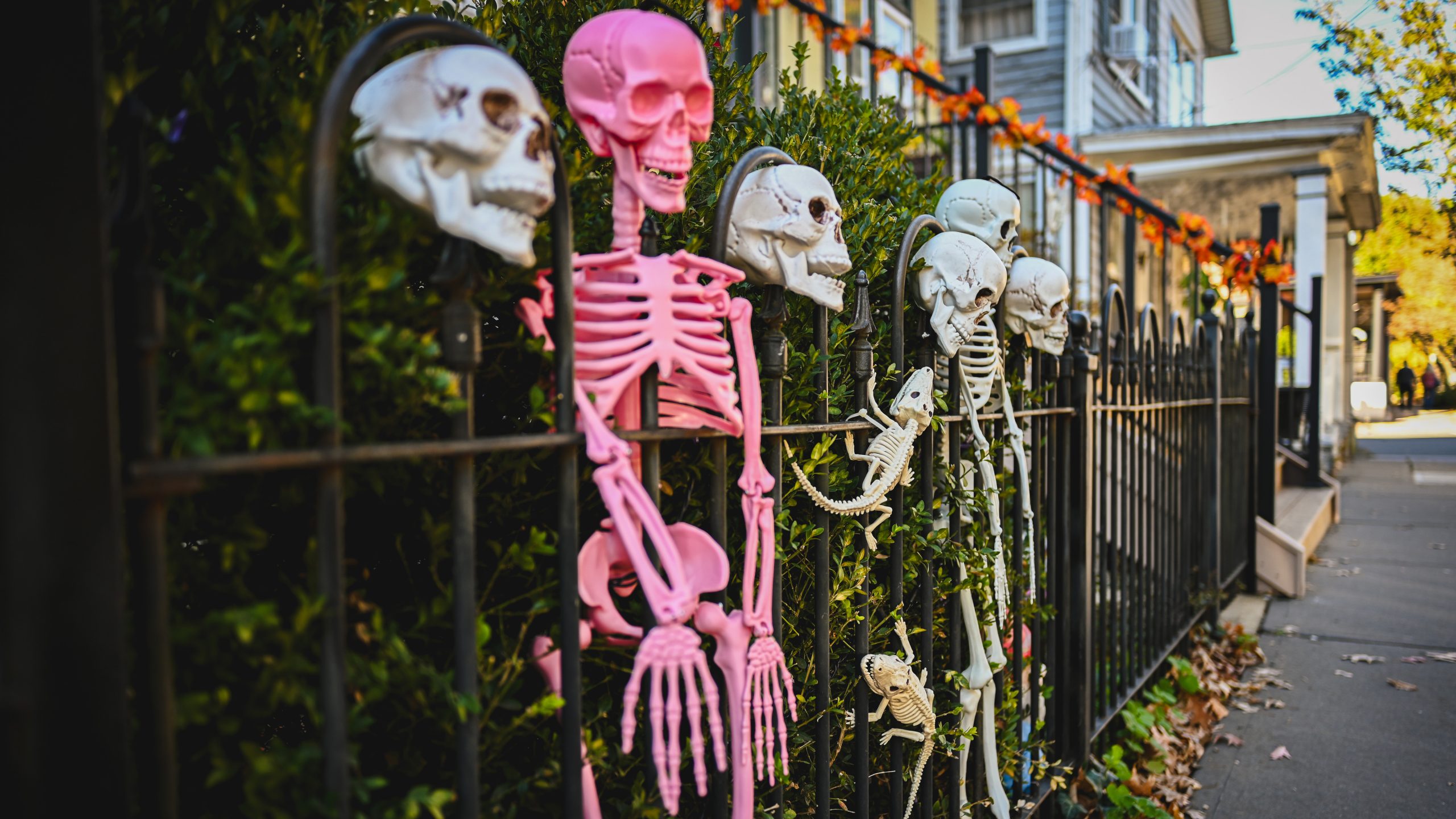 America's best cities for Halloween, ranked — KTVU FOX 2 Bay Area, Sausalito Community news